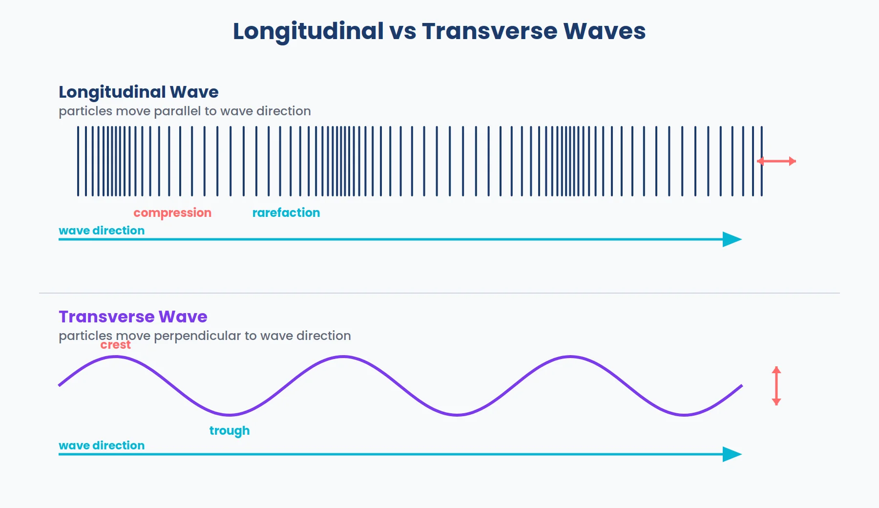 Longitudinal versus transverse waves compared: the longitudinal wave is drawn as particles bunching into compressions and spreading into rarefactions with motion parallel to the wave direction, while the transverse wave is drawn as a sine curve with crests and troughs and motion perpendicular to the wave direction