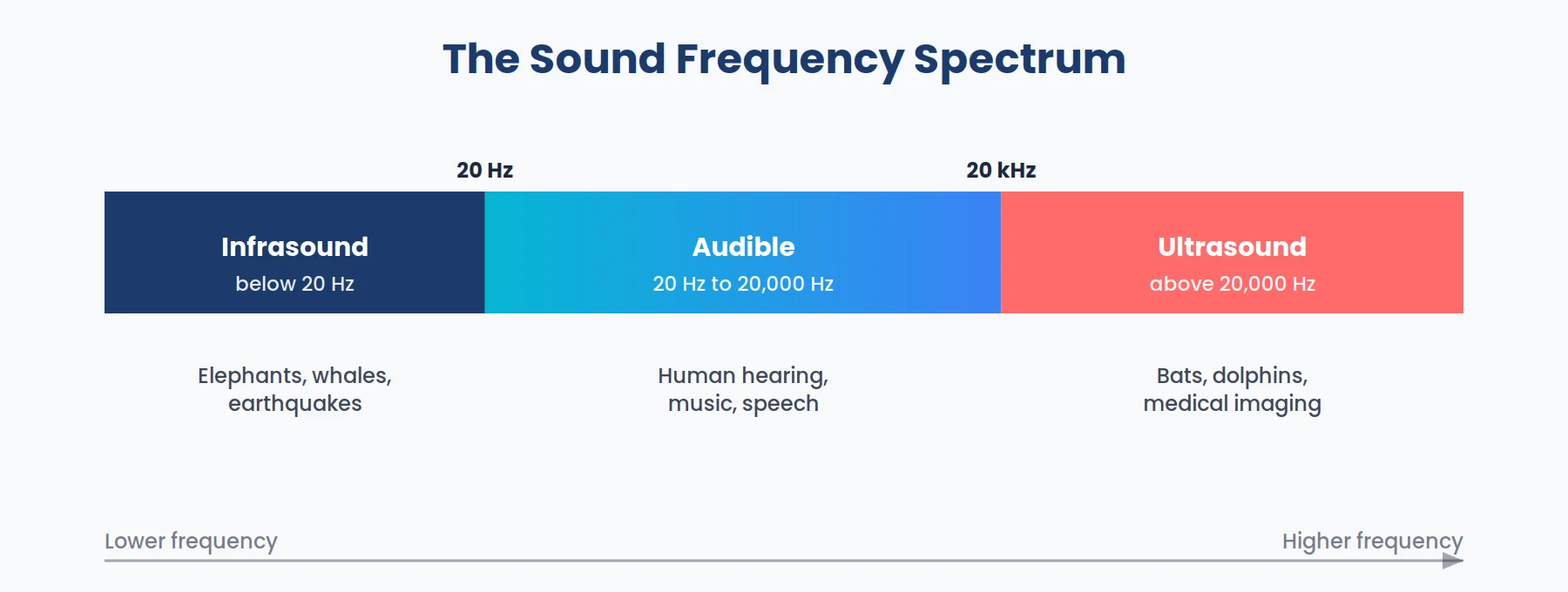 The sound frequency spectrum divided into three bands: infrasound below 20 Hz used by elephants, whales and earthquakes; audible sound from 20 Hz to 20,000 Hz covering human hearing, music and speech; and ultrasound above 20,000 Hz used by bats, dolphins and medical imaging