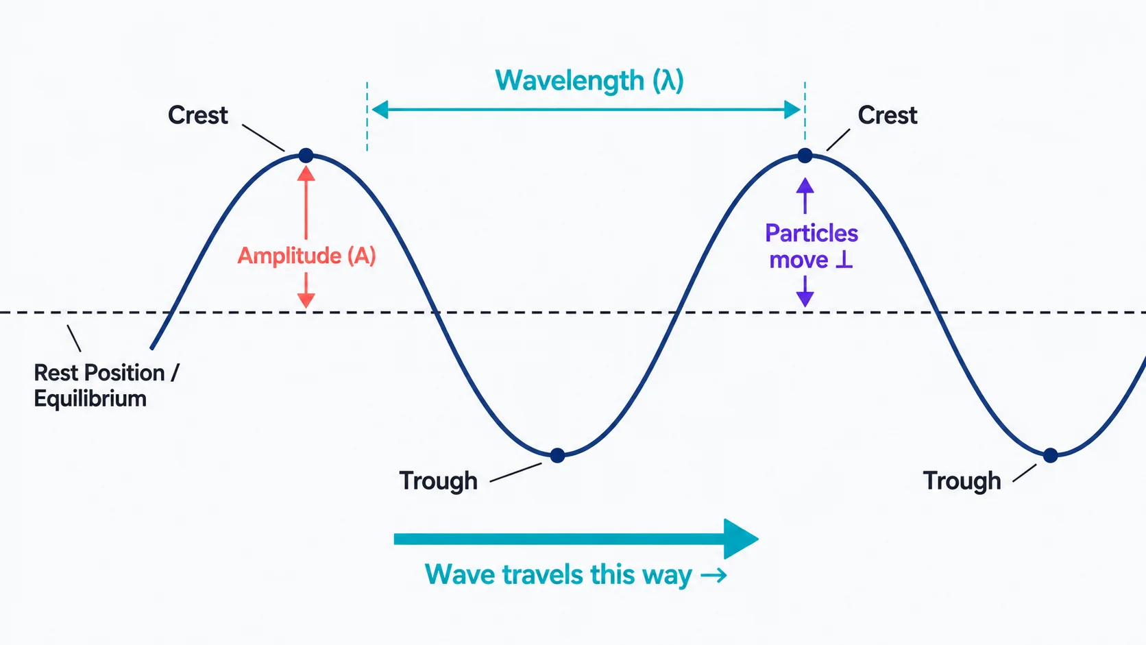 Labeled diagram of a transverse wave showing crest, trough, amplitude, wavelength, equilibrium line, and direction of travel
